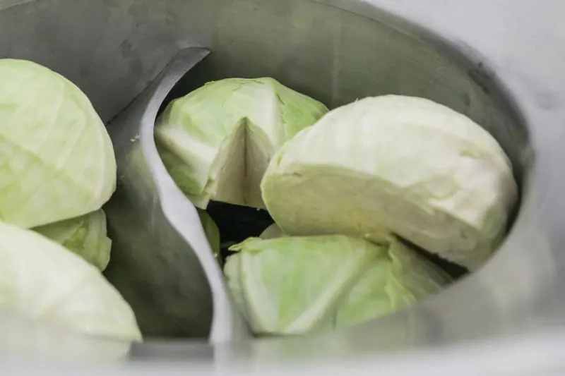 Halved cabbage heads in the S40 hopper
