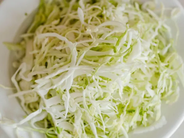 Sliced cabbage for sauerkraut
